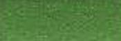Medium Lime Poly