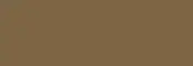 Dark Gold paint chip — 1970 Chevy C10