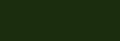 Dark Green paint chip — 1970 Chevy C10 code 506