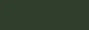 Dark Green paint chip — 1970 Chevy C10 code 505