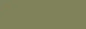 medium olive