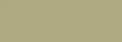 Yellow Green paint chip — 1970 Chevy C10